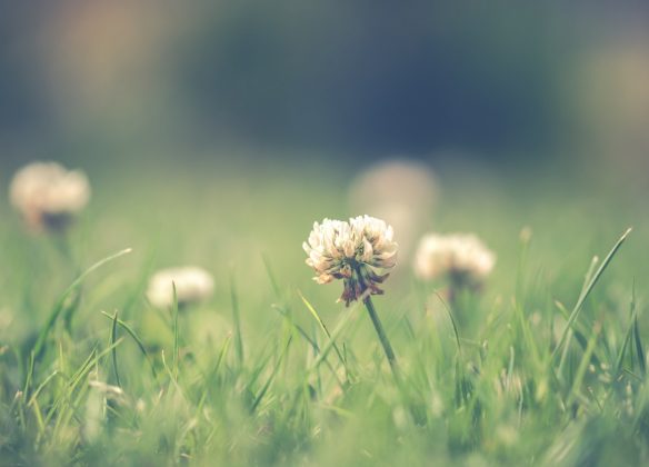 Choisir un funérarium à Boulogne-Billancourt